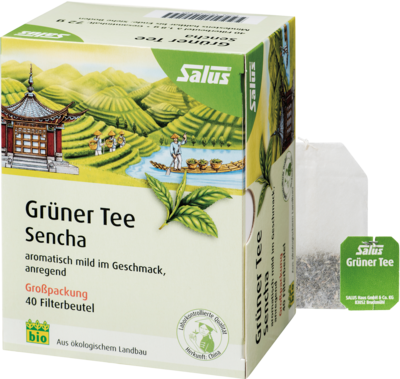 GRÜNER TEE Bio Salus Filterbeutel Großpackung